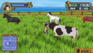 دانلود بازی Harvest Moon Hero Leaf Valley برای PSP | تاپ 2 دانلود