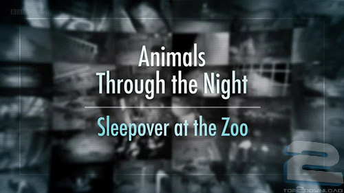 دانلود مستند BBC Animals Through the Night: Sleepover at the Zoo 2014