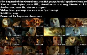 دانلود انیمیشن افسانه نگهبانان Legend of the Guardians The Owls of GaHoole | تاپ 2 دانلود