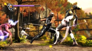دانلود بازی Ninja Gaiden Sigma برای PS3 | تاپ 2 دانلود