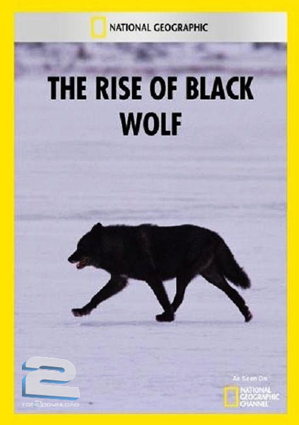 دانلود مستند National Geographic - The Rise of Black Wolf 2011