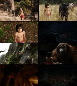 دانلود فیلم The Jungle Book 2016 | تاپ 2 دانلود