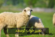 تعبیر خواب گوسفند